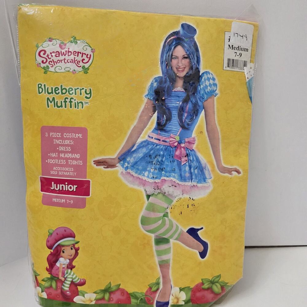 Strawberry Shortcakes Blueberry Muffin Costume Dress Hat Tights Size 7-9